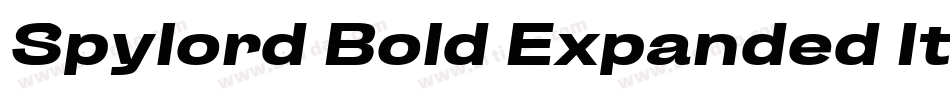 Spylord Bold Expanded Italic字体转换
